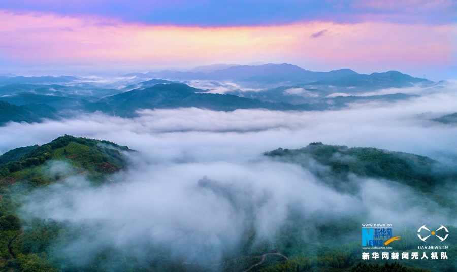 【“飛閱”中國】無人機“漫步”雲端 俯瞰從化桂峰山