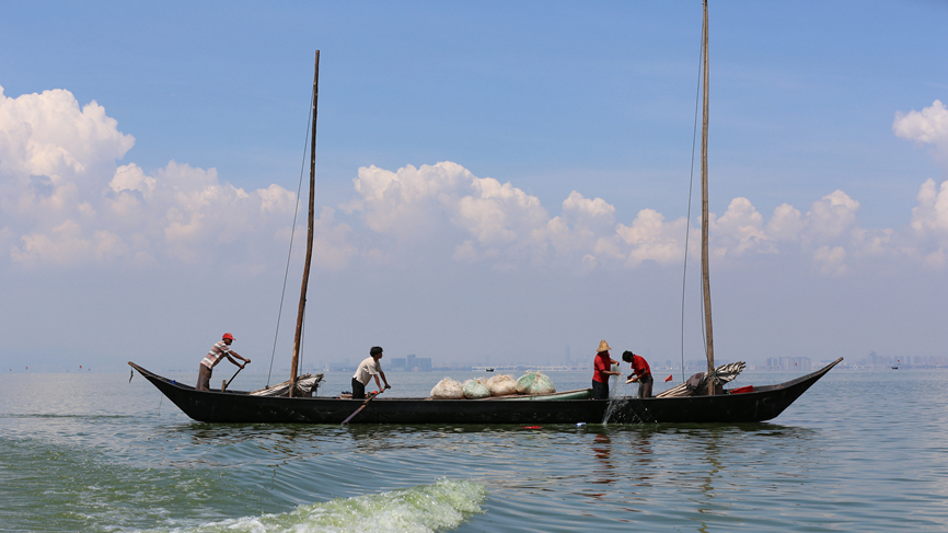 雲南昆明：滇池捕魚忙 漁民喜豐收