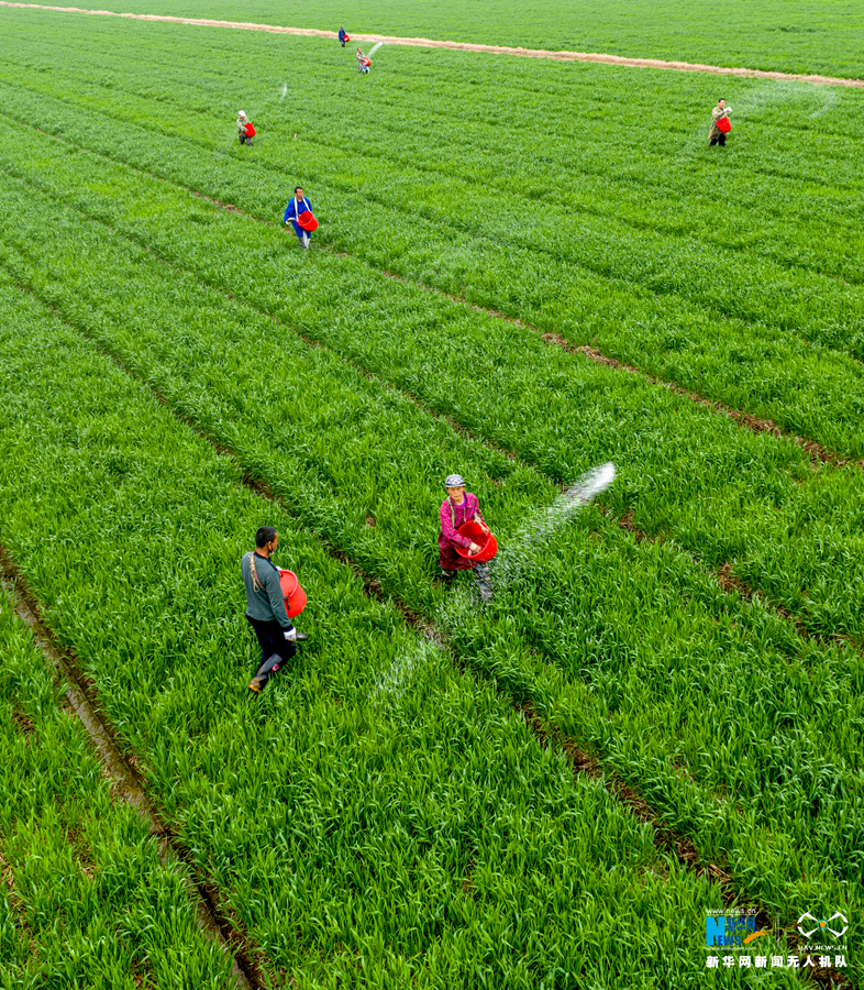 【"飞阅"中国】春耕生产忙起来-新华网